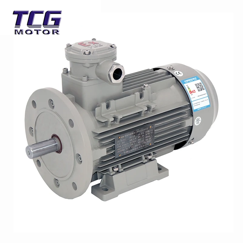 Silnik przeciwwybuchowy Ex d IIC T4 B35 Stopa